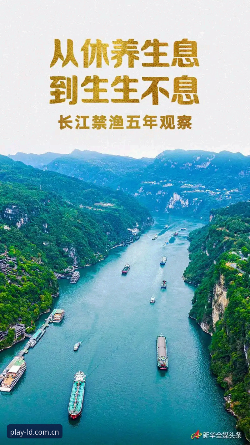 乐动体育网页版怎么下载 乐动体育平台深度评测:从下载体验到功能生态的全面观察